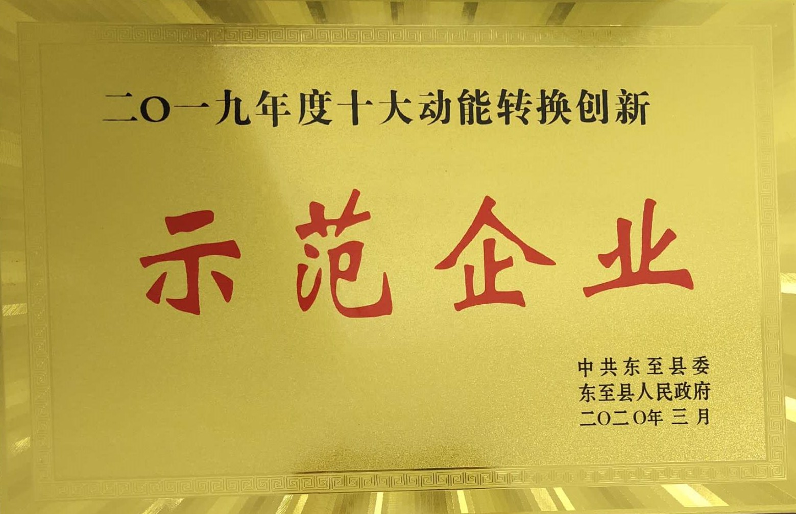 祝賀嘉智信諾榮獲東至縣“二〇一九年度十大動能轉換創新示范企業”